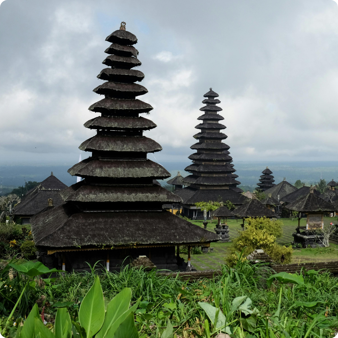 STP ARS Internasional